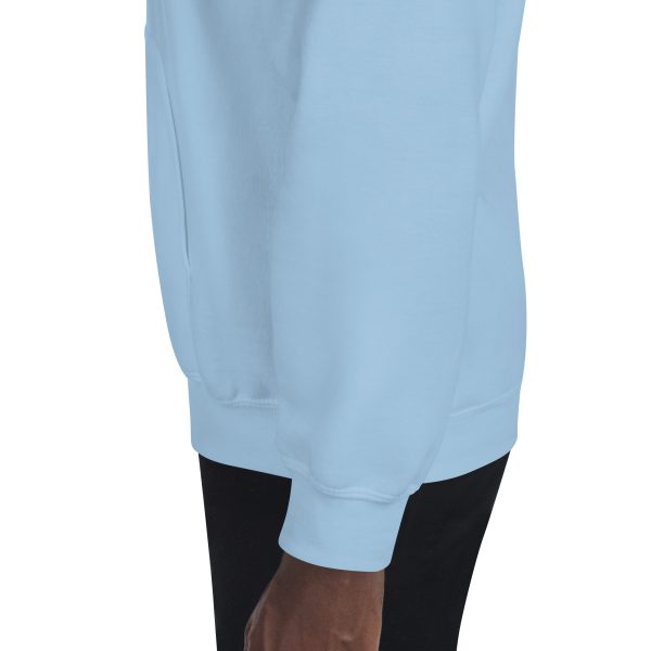 unisex-heavy-blend-hoodie-light-blue-left-68d5a2e5debb6.jpg